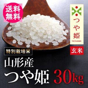 送料無料(北海道・九州・沖縄除く)  令和5年産 新米 特別栽培米山形県産つや姫(玄米)30kg｜komedonya