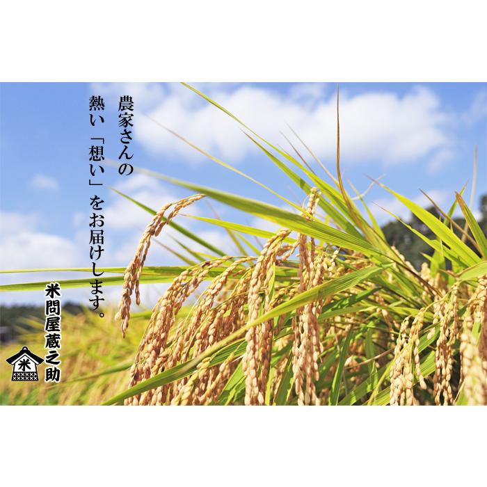 コシヒカリ 奥出雲 仁多米 令和6年産 白米 1kg : 米問屋蔵之助 コシヒカリ 奥出雲 仁多米 令和6年産 白米 1kg : 米問屋蔵之助