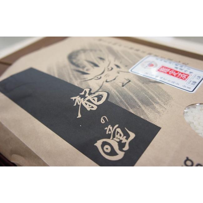 龍の瞳 10kg (5kg×2袋) 令和6年産 送料無料 (一部地域除く 龍の瞳 10kg (5kg×2袋) 令和6年産 送料無料 (一部地域除く