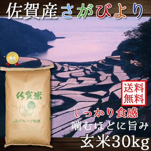 さがびより 佐賀県産 玄米 30kg 送料無料 (一部地域除く) : 米 さがびより 佐賀県産 玄米 30kg 送料無料 (一部地域除く) : 米