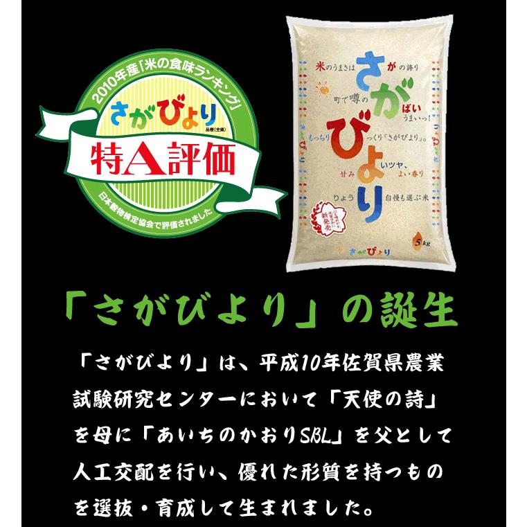 佐賀県産 さがびより 白米 10kg 送料無料 （一部地域除く）｜komedonyakuranosuke｜03