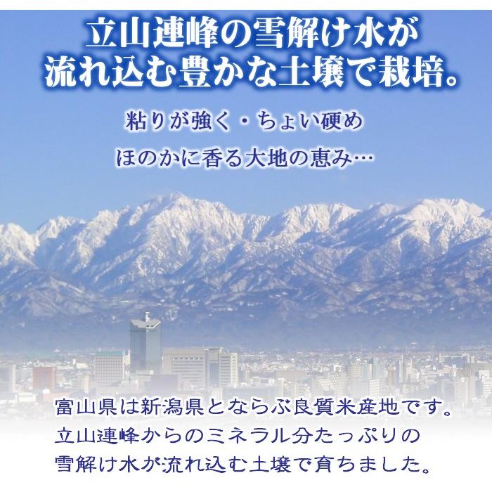 コシヒカリ 令和5年産 富山県産 白米 10kg｜komedonyakuranosuke｜02