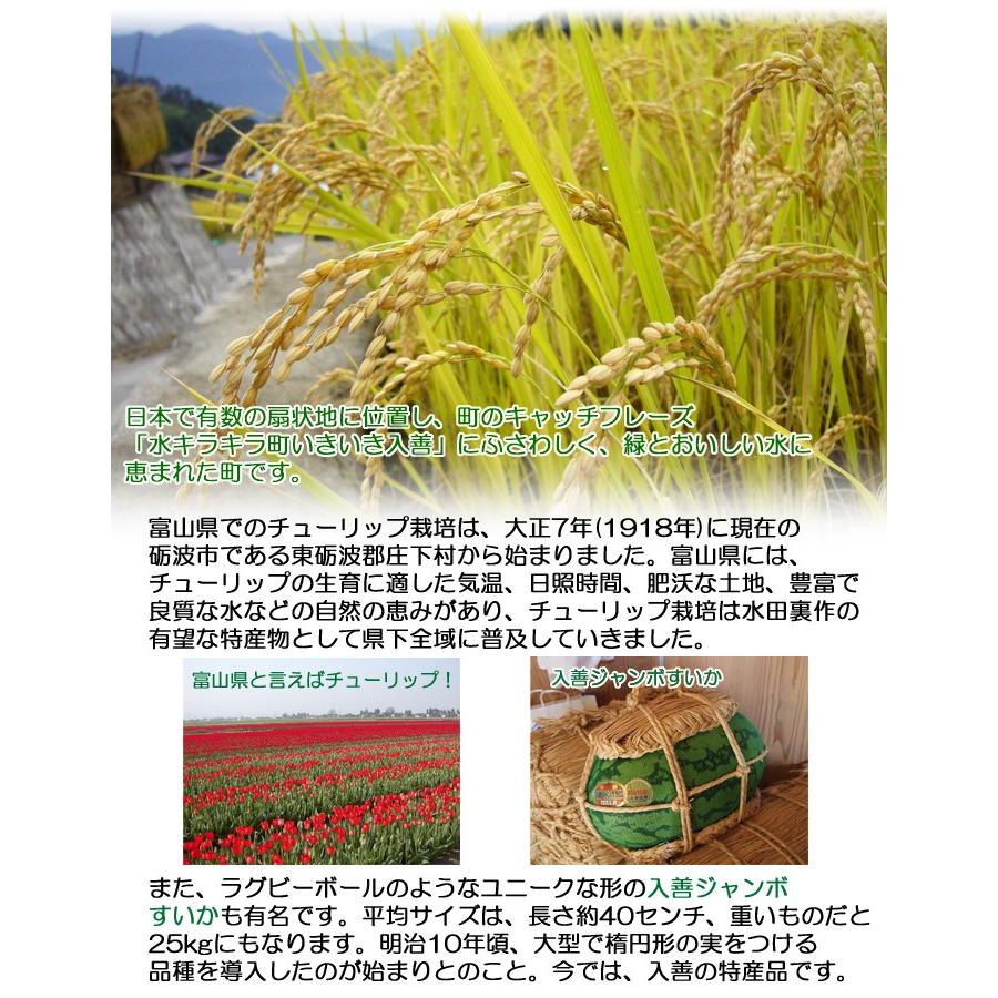 コシヒカリ 令和5年産 富山県産 白米 10kg : 米問屋蔵之助