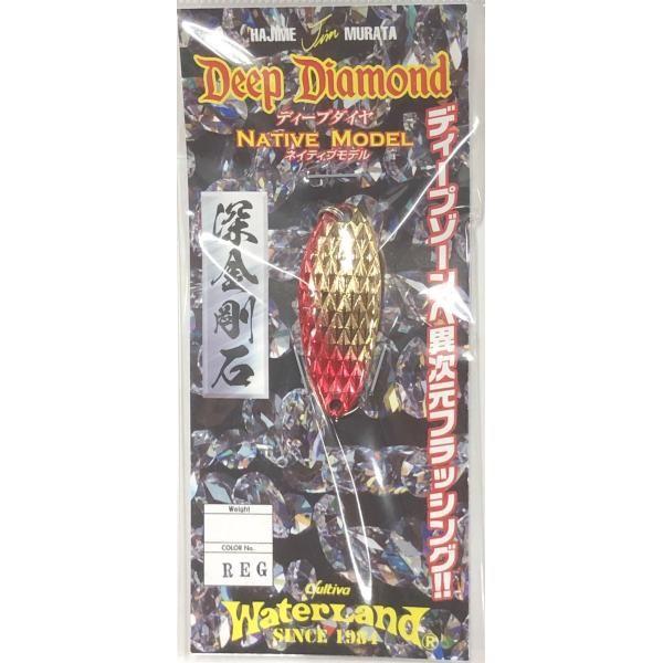 WaterLand（ウォーターランド） ディープダイヤ ネイティブモデル 6g