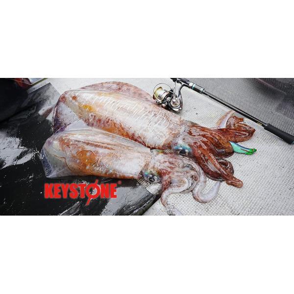 KEYSTONE（キーストン） デイブレイク 4.0号(39g)【メール便可】 : 米