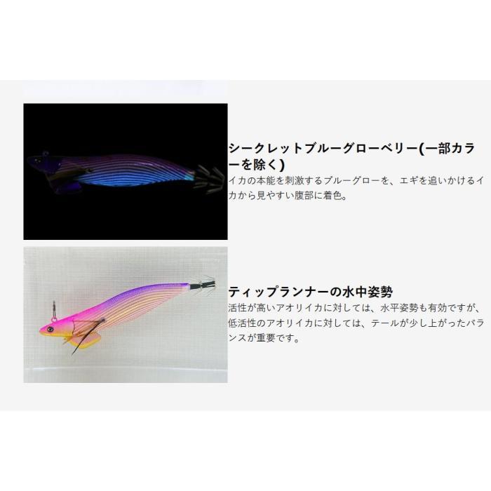 Crazy Ocean（クレイジーオーシャン） ティップランナー 3.5号 2025年