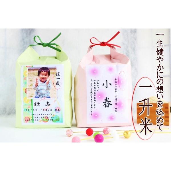 一升餅 1歳 誕生日 御祝 送料無料 メッセージ 名前入り 写真付