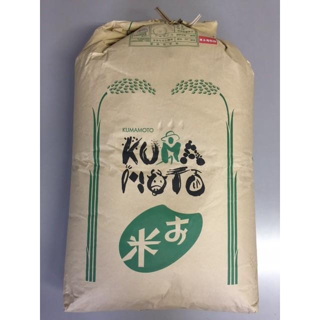 ヒノヒカリ 令和3年産 玄米 熊本県山都町産 特別栽培米 ひのひかり