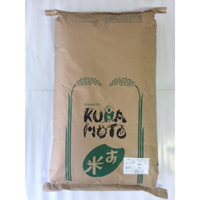 ヒノヒカリ 令和5年 玄米 山都町産（旧清和村）ひのひかり 20kg