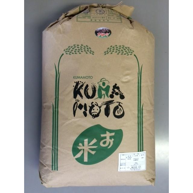 残り2袋） 令和5年ヒノヒカリ 山都町産 玄米 30㎏