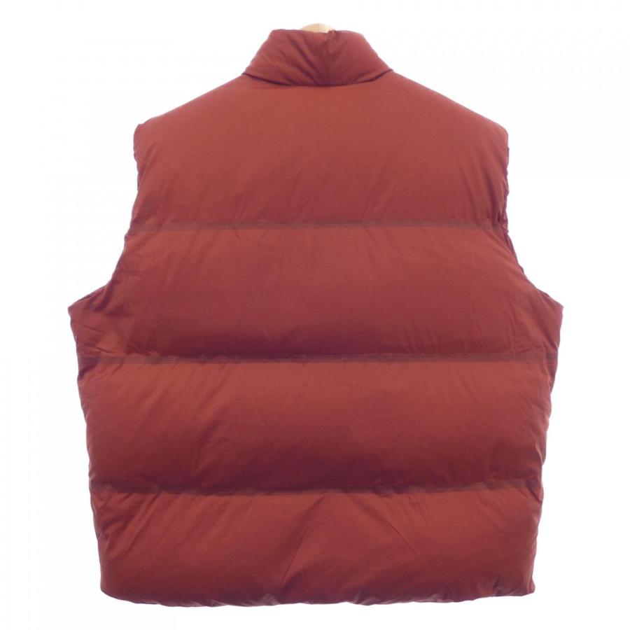 THE NORTH FACE - GUCCI × THE NORTH FACE ダウンジャケット　ダウンベスト グッチザノースフェイス GUCCI×THENORTHFACE ダウンベスト