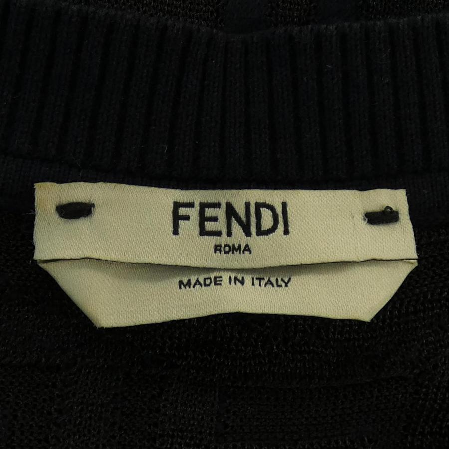 フェンディ FENDI FZY793 A7U3 ニットの画像