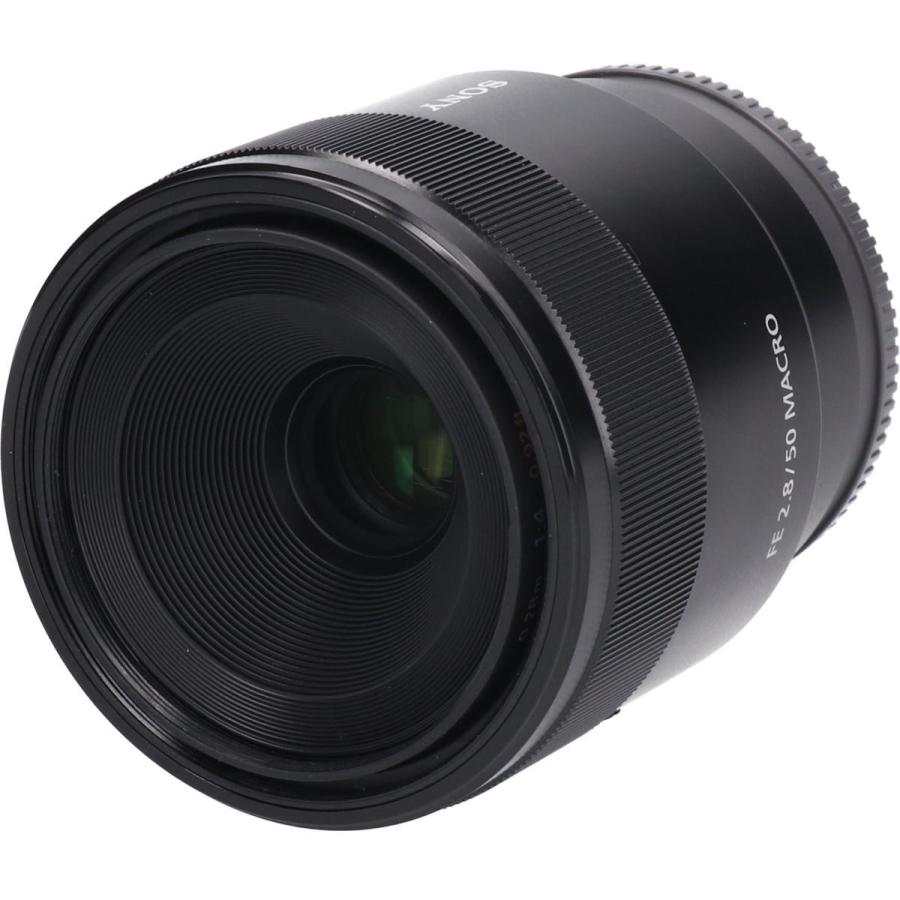 FE50mm F2．8MACRO（SEL50M28） : KOMEHYO