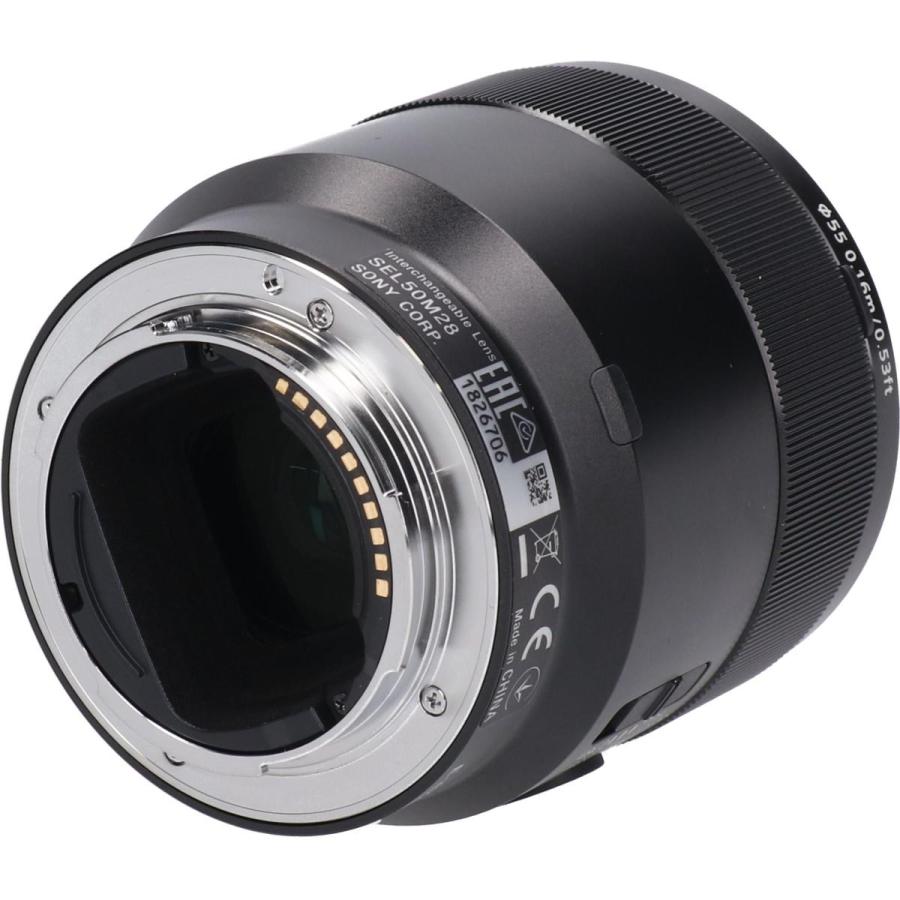 FE50mm F2．8MACRO（SEL50M28） : KOMEHYO