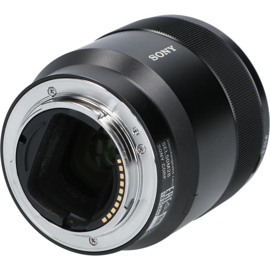 FE50mm F2．8MACRO（SEL50M28） : KOMEHYO