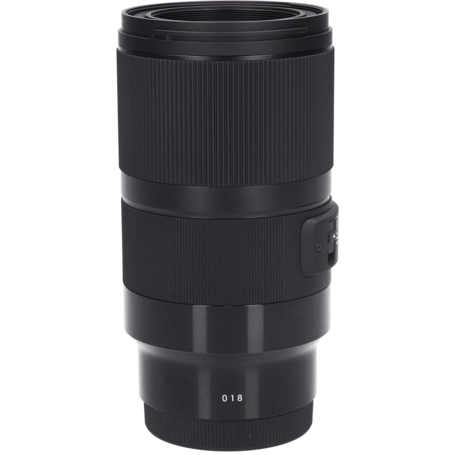 ソニーＥ（Ａ）７０ｍｍ　Ｆ２．８ＤＧ　ＭＡＣＲＯの画像