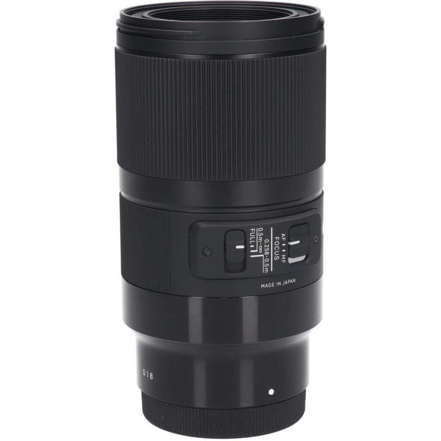 ソニーＥ（Ａ）７０ｍｍ　Ｆ２．８ＤＧ　ＭＡＣＲＯの画像