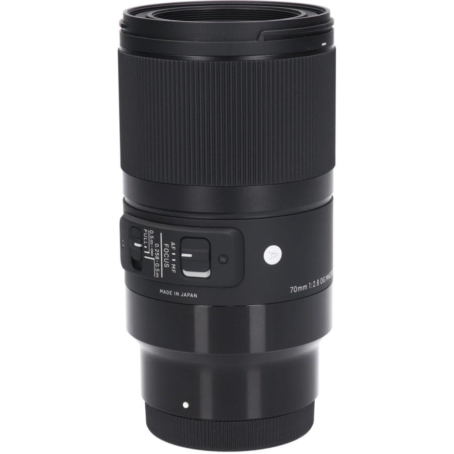 ソニーＥ（Ａ）７０ｍｍ　Ｆ２．８ＤＧ　ＭＡＣＲＯの画像