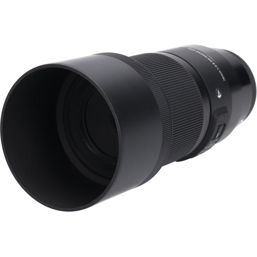 ソニーＥ（Ａ）７０ｍｍ　Ｆ２．８ＤＧ　ＭＡＣＲＯの画像