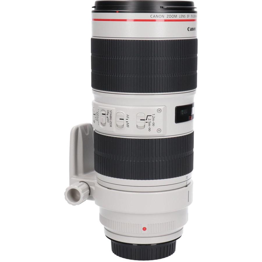 ＣＡＮＯＮ　ＥＦ７０−２００ｍｍ　Ｆ２．８Ｌ　ＩＳＩＩＩＵＳＭ_5