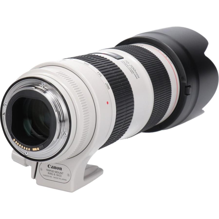 ＣＡＮＯＮ　ＥＦ７０−２００ｍｍ　Ｆ２．８Ｌ　ＩＳＩＩＩＵＳＭ_8