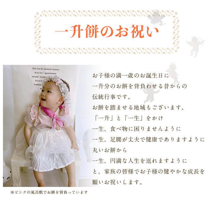 通信販売 一升餅 小分け 選べるお祝いセット 小丸餅 お米 赤飯 名前入り 1歳 誕生日 リュック 風呂敷 送料無料 Wantannas Go Id