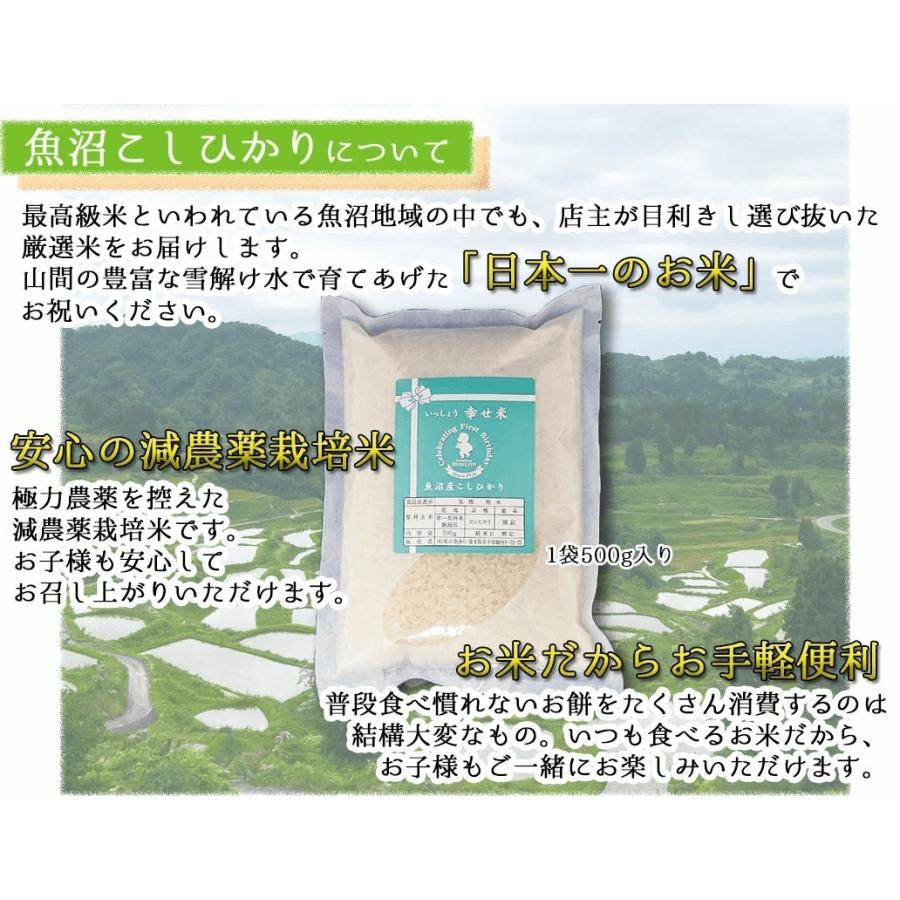 一升餅 小分け 選べるお祝いセット 小丸餅 お米 赤飯 名前入り 1歳 誕生日 リュック 風呂敷 送料無料 M001 Anniversary 2 三代目 米人 通販 Yahoo ショッピング