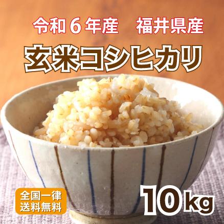 コシヒカリ 玄米 令和6年産 福井県産コシヒカリ玄米10kg 単一 コシヒカリ 玄米 令和6年産 福井県産コシヒカリ玄米10kg 単一