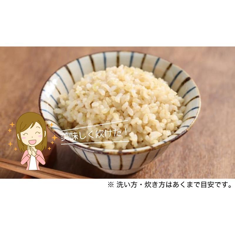 コシヒカリ 玄米 令和6年産 福井県産コシヒカリ玄米10kg 単一 コシヒカリ 玄米 令和6年産 福井県産コシヒカリ玄米10kg 単一