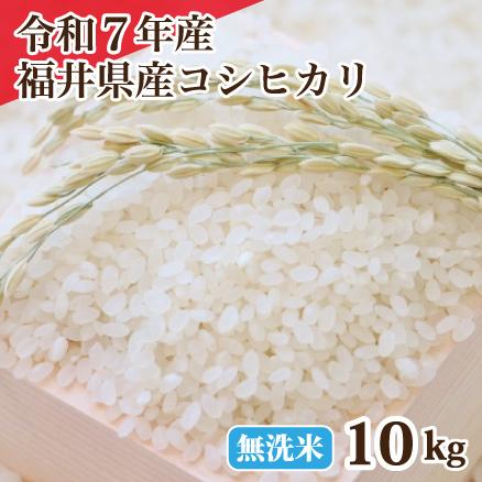 コシヒカリ 令和6年産 無洗米福井県産コシヒカリ 10kg 白米