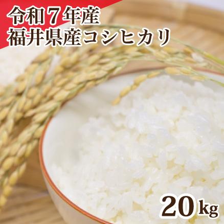 令和7年福井県産コシヒカリ 20Kg コシヒカリ 令和7年産 福井県産コシヒカリ 20kg 白米 安い 5kg×4 単