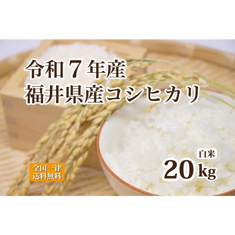 令和7年福井県産コシヒカリ 20Kg コシヒカリ 令和7年産 福井県産コシヒカリ 20kg 白米 安い 5kg×4 単