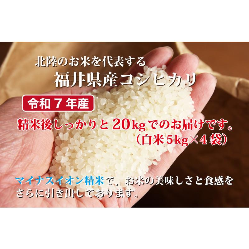 令和7年福井県産コシヒカリ 20Kg コシヒカリ 令和7年産 福井県産コシヒカリ 20kg 白米 安い 5kg×4 単