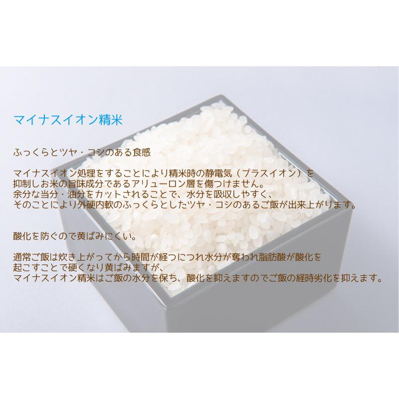 コシヒカリ 令和7年産 福井県産コシヒカリ 20kg 白米 安い 5kg×4 単