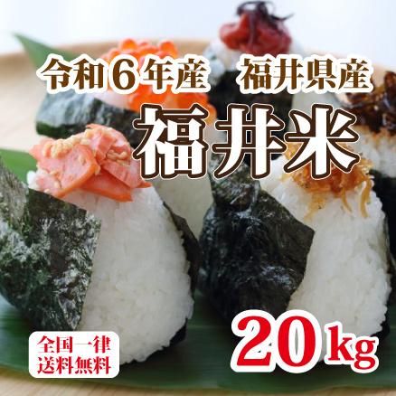 福井米 令和6年産 福井県産米10割 20kg 白米 安い 10kg×2 福井米 令和6年産 福井県産米10割 20kg 白米 安い 10kg×2