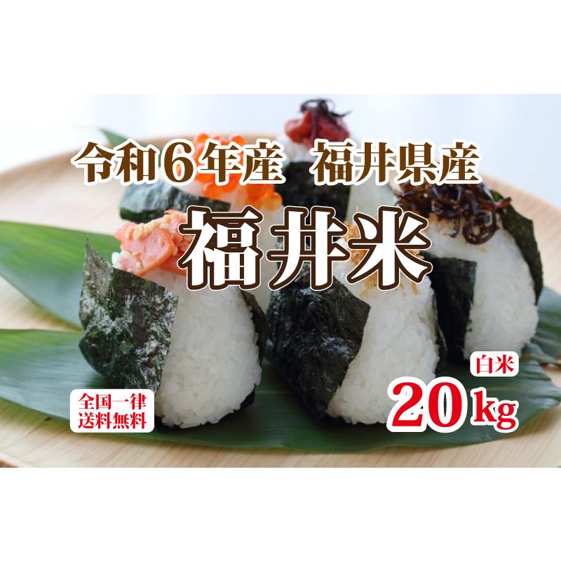 福井米 令和6年産 福井県産米10割 20kg 白米 安い 10kg×2 福井米 令和6年産 福井県産米10割 20kg 白米 安い 10kg×2
