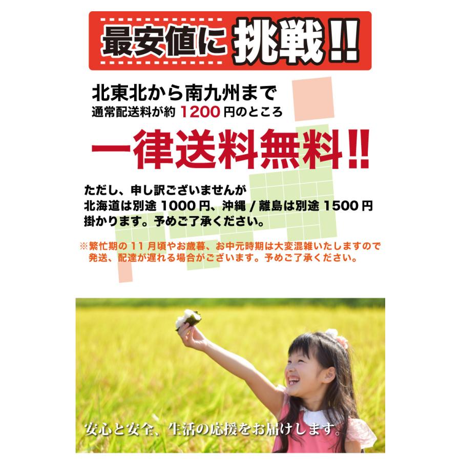 福井米 令和５年産 福井県産米10割 20kg 白米 安い 10kg×2 ブレンド米 生活応援米 送料無料｜komejirushi｜08