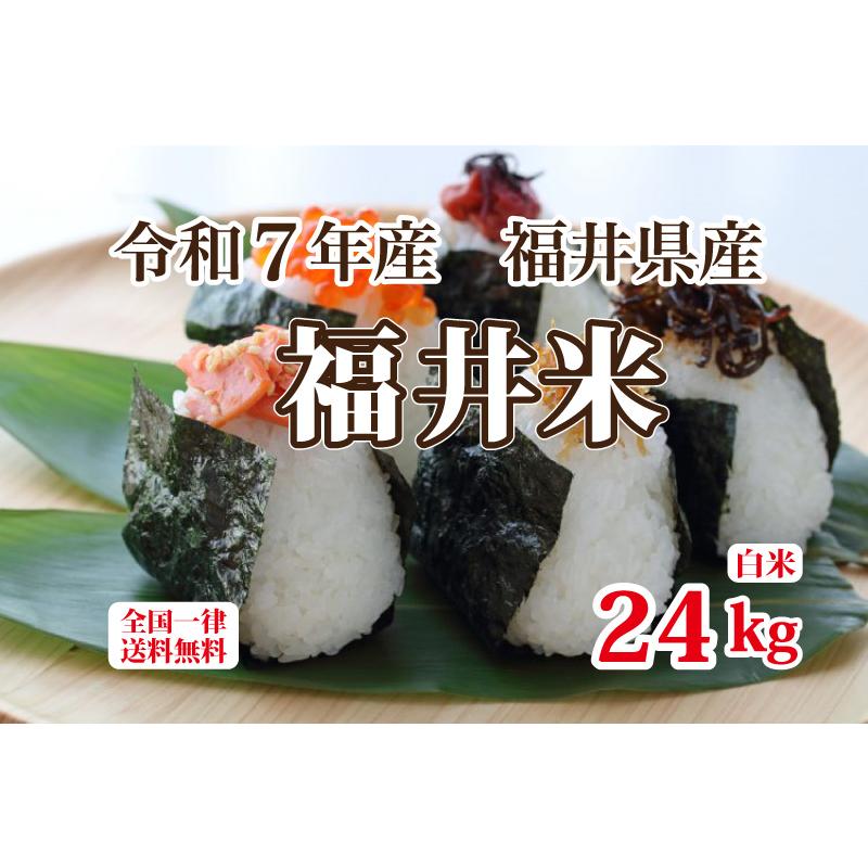 福井米 令和7年産 福井県産米10割 24kg 白米 安い 8kg×3 ブレンド米 