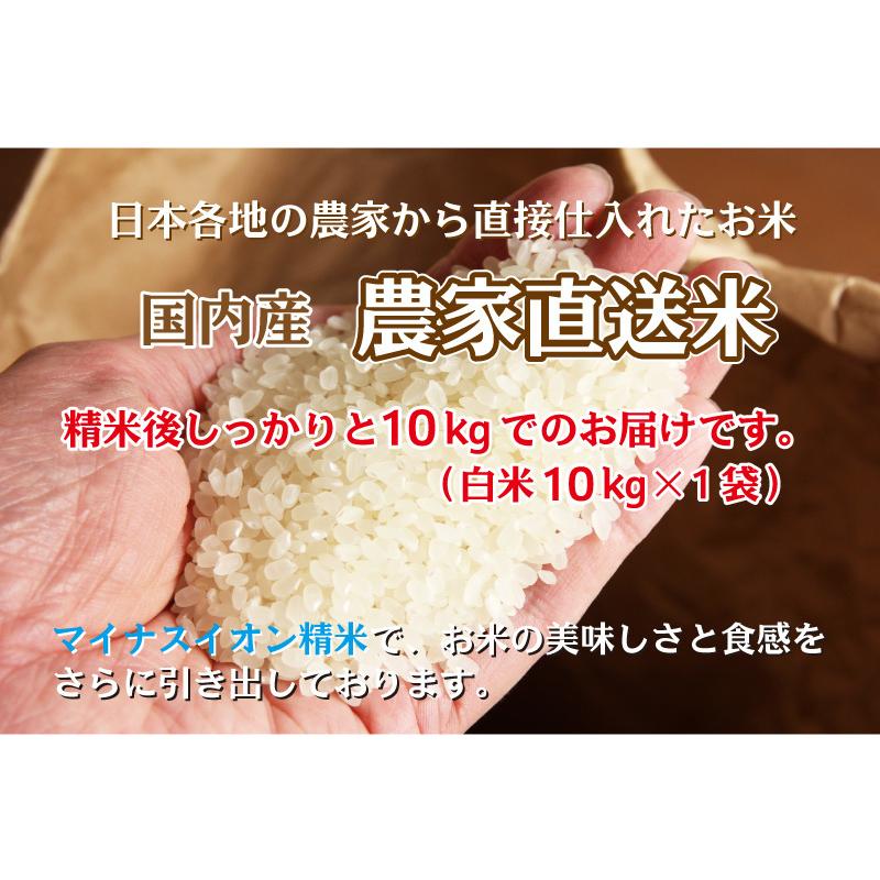 農家直送米 国内産100% ブレンド米 10kg 白米 安い 10kg×1 複数 農家直送米 国内産100% ブレンド米 10kg 白米 安い 10kg×1 複数