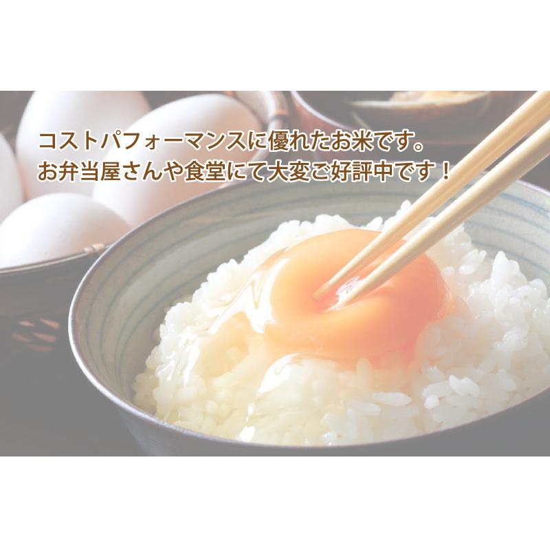 農家直送米 国内産100％ ブレンド米 10kg 白米 安い 10kg×1 複数