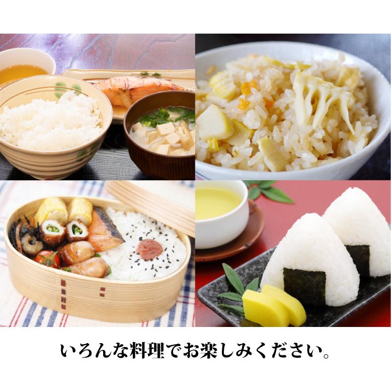 令和6年産 福井ハナエチゼン玄米20kg（梱包含）送料無料