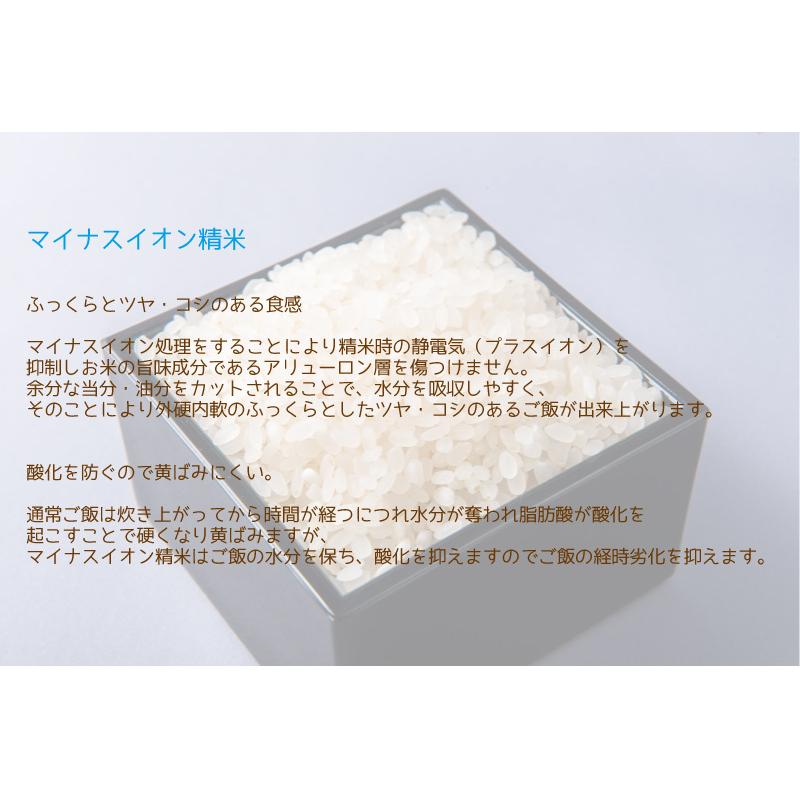 令和6年産 福井県産あきさかり10kg 単一原料米 白米 安い