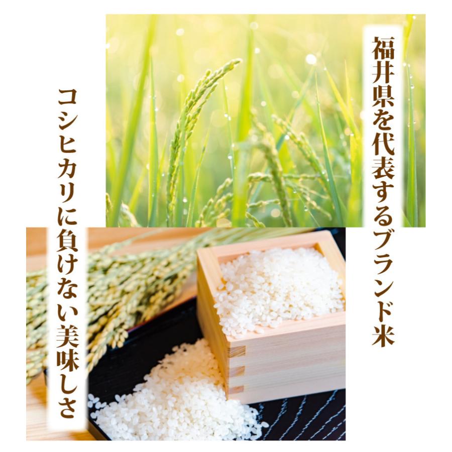令和7年産 無洗米福井県産あきさかり20kg 単一原料米 白米 安い