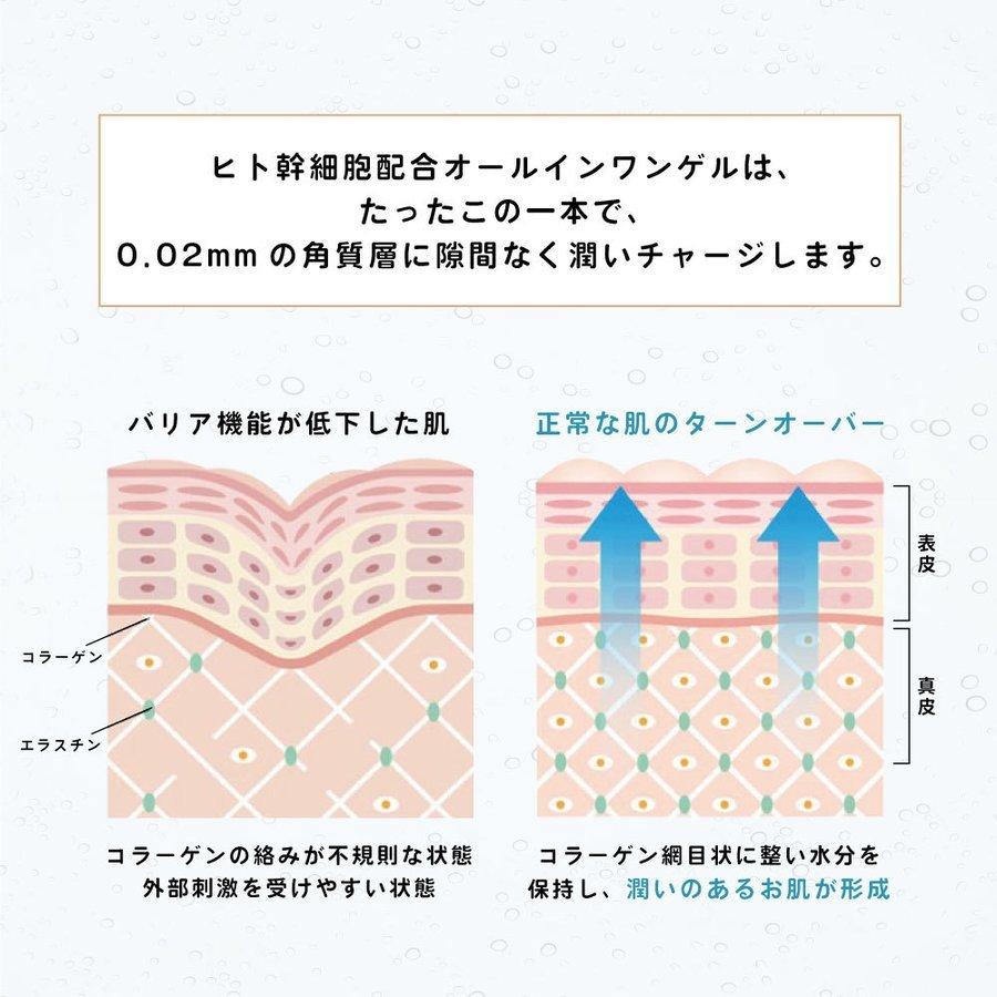 ヒト幹細胞 オールインワン ゲル 培養液 ジェル クリーム 潤い バリア