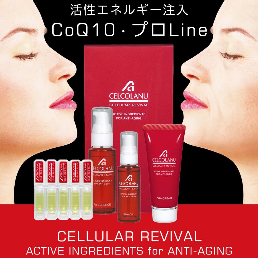 クリーム CoQ10クリーム 補酵素 コエンザイム ATP クリーム 肌活性 エイジング クリーム 潤い ハリアップ セルコラーヌ Q10 クリーム 30g クリーム CoQ10クリーム 補酵素 コエンザイム ATP 肌活性 エイジング