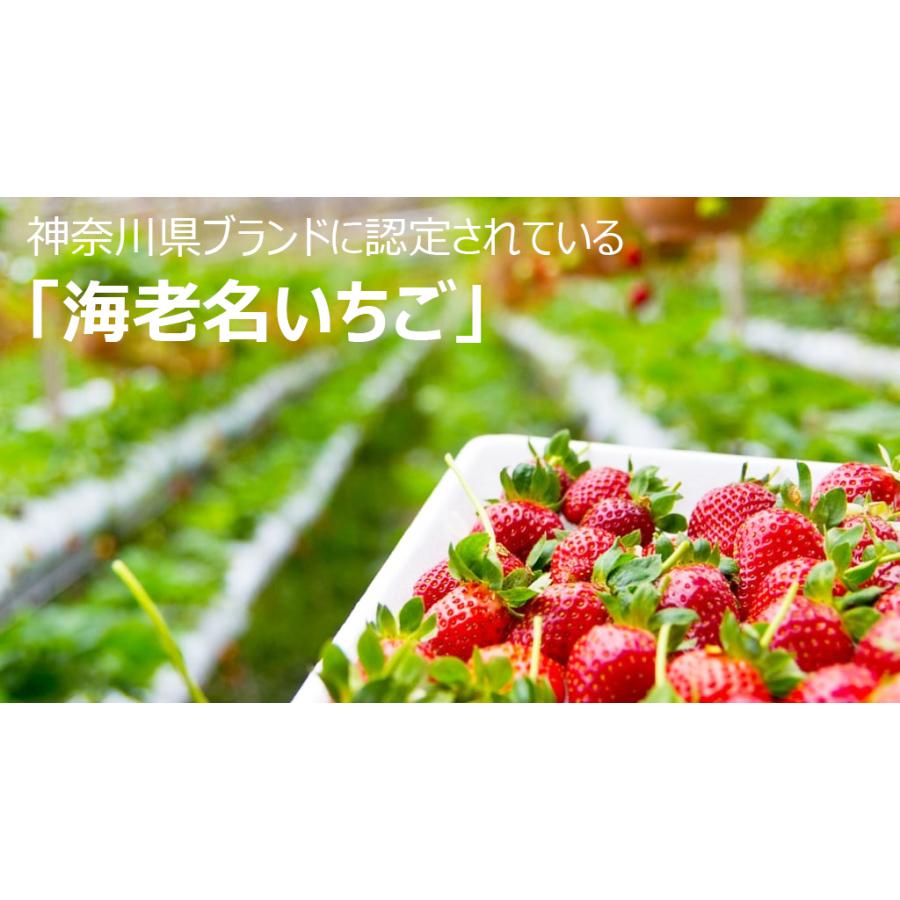 いちごシャンプー トリートメント サロン品質 ダメージケア いちごシャンプー トリートメント サロン品質 ダメージケア
