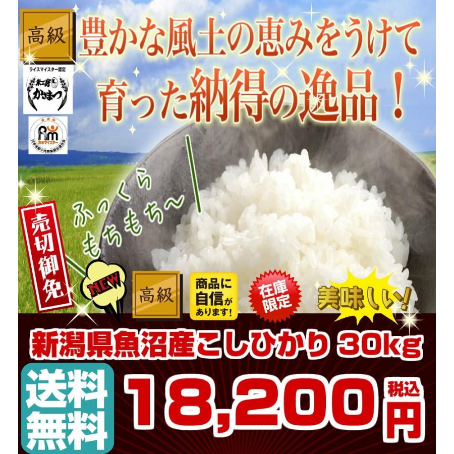 コシヒカリ 令和3年産 30kg 新米 魚沼産 白米 玄米 安い 10kg×3袋 米