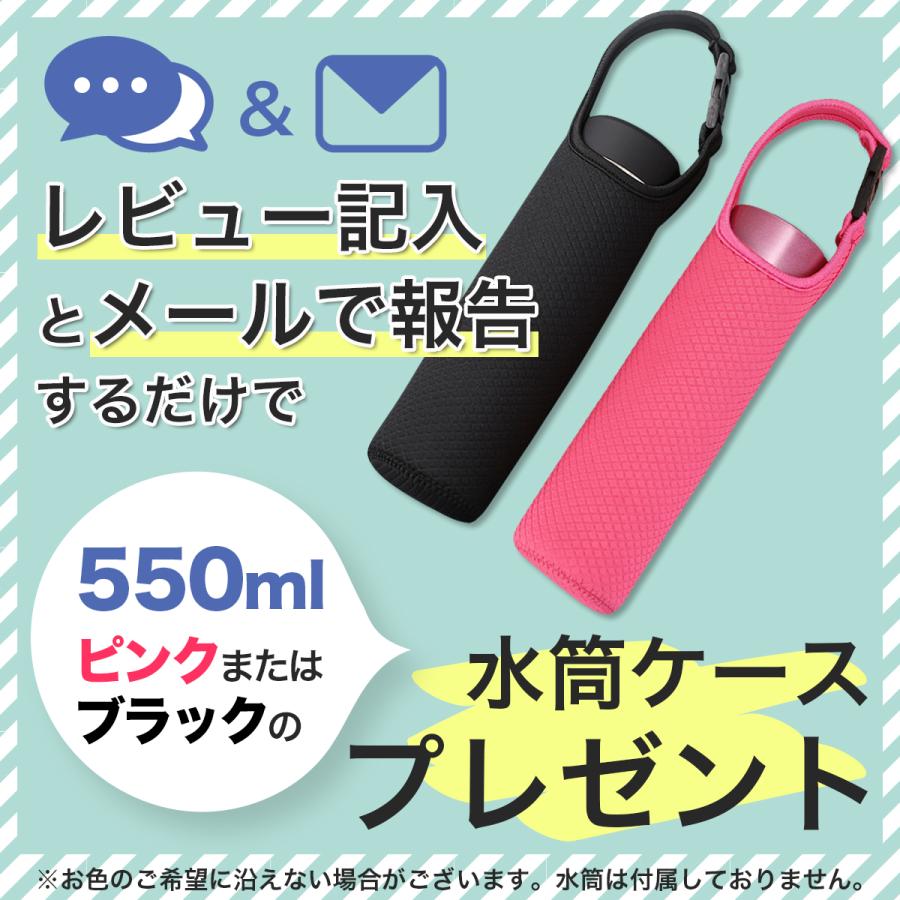 ガラスペン インクセット（説明補足） アゾン®︎ ガラスペン〈ラメ〉 – セキセイ株式会社