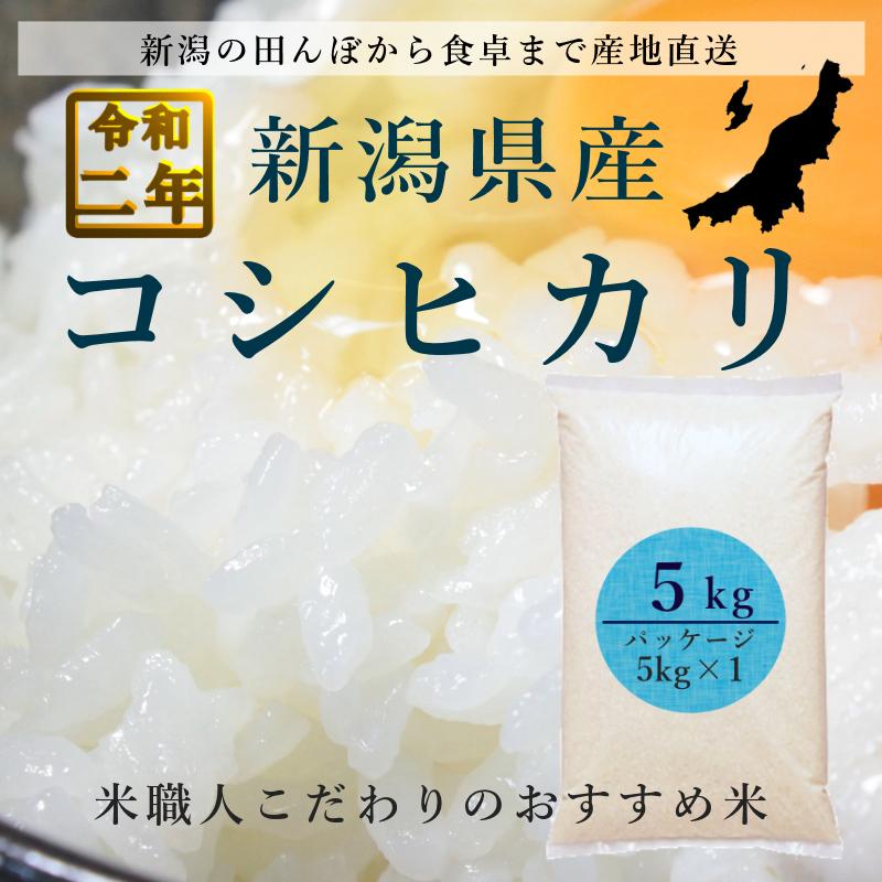 新米 コシヒカリ 新潟県産 5kg 白米 令和2年産 :hikari5-1:新潟 丸松 - 通販 - Yahoo!ショッピング