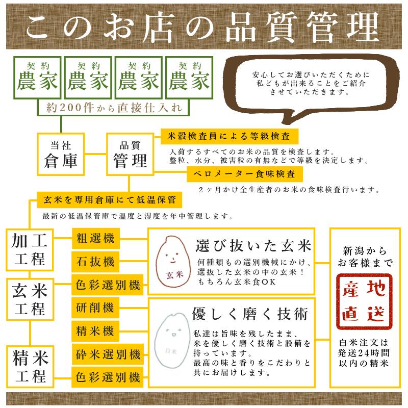 新米 コシヒカリ 新潟県産 20kg 白米 5kg×4袋 令和２年産｜komemarumatsu｜04